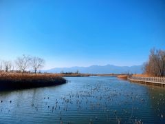 -野鸭湖国家湿地公园