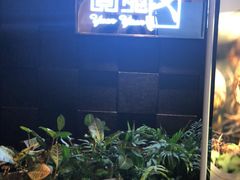 门面-圆苑(金茂店)