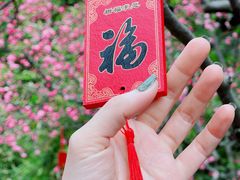 -个园