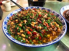 -铁山坪森林公园