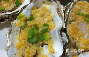 Fresh Oyster