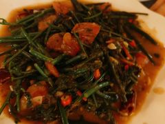 番茄炒水蕨菜-多哥水傣味餐厅(司马巷店)