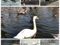 -北京动物园