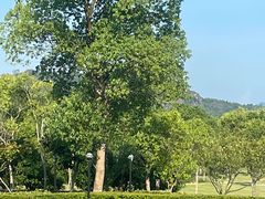 -江西龙虎山景区