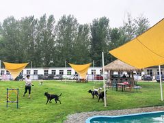-爪吧宠物乐园·宠物泳池(温榆河示范区店)
