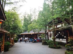 -青城甲(青城山店)