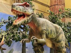 -国家自然博物馆