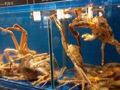 -綱元·海鲜豆捞(明州里店)
