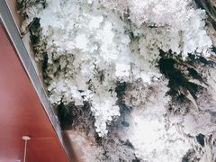 -泰尚臻Siam Essence
