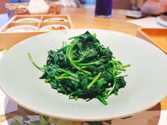 -青梅酒肆PLUS(长白仙岛北路店)
