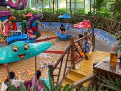 -南宫五洲植物乐园