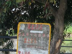-喜洲吧·江畔老船厂·庭院餐厅(喜临院店)