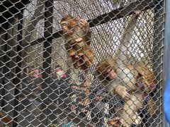 -长白岛森林公园