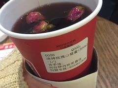 -1828王老吉·草本新茶(珠江新城地铁站店)