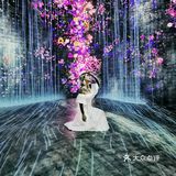 魔都看展|teamlab一部手机出大片的展览