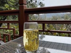 -十八棵（老龙井）御茶园(老龙井店)