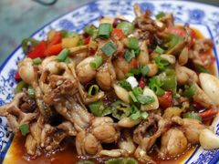 田鸡-龙小海荆沙鸽子店(瑞安街店)