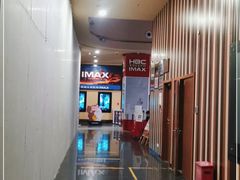 -华谊兄弟影院(IMAX洋桥店)