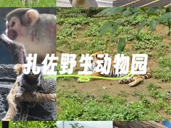 -贵州森林野生动物园