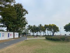 -深圳湾公园(南山区)