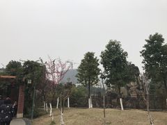 -沙河三洞古桥公园
