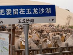 -玉龙沙湖景区