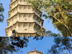 -深圳国际园林花卉博览园