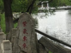 -龙沙公园