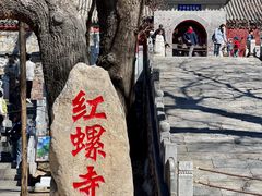 -红螺寺