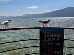 -滇池海埂公园