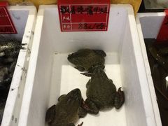 -钱塘花园·宁波菜