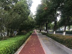 -聚龙湖公园
