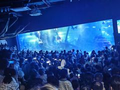 -江和美海洋公园