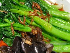 白灼菌菇菜心-新白鹿餐厅(虹桥南丰城店)