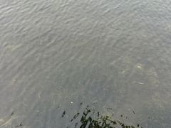 -玄武湖景区-情侣园游乐场