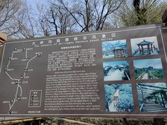 -大岭沟猕猴桃谷风景区