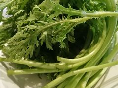 茼蒿-九府羊·鲜羊火锅·烤串(新华路店)