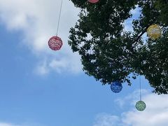 -温州乐园