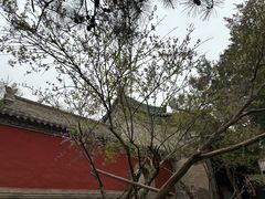 -窦大夫祠