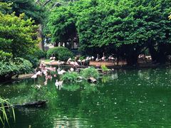 -九龙公园
