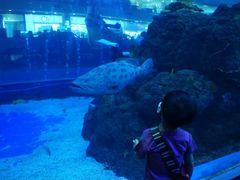 -成都浩海立方海洋公园