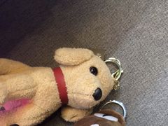 -PAWTOY爪e玩偶店(天兴罗斯福店)