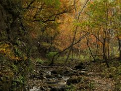 -玉渡山自然风景区