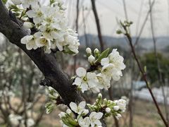 -杭州屏风山越野车营地·团建别墅轰趴民宿