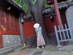 -北京国子监胡同