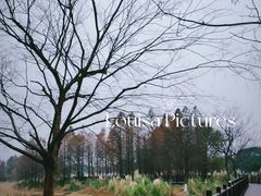 -贡湖湾湿地公园