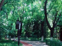 -宣武艺园