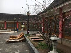 -大雁塔北广场音乐喷泉
