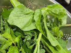 野菜-黔府豆米火锅野菜馆(南马店)