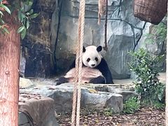 -泉州海丝野生动物世界